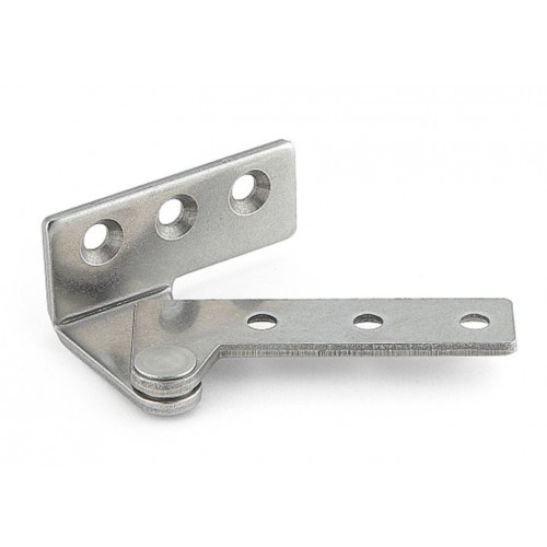Stainless Steel Overlay Door Pivot Hinge